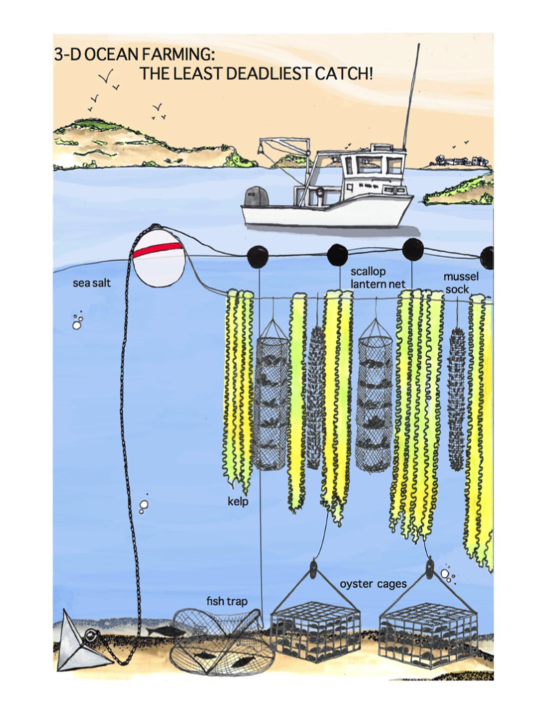 3D ocean farming_ credit Stephanie Stroud